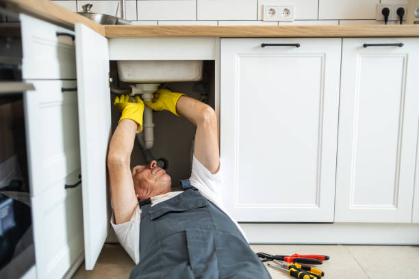 Best Same-Day Plumbing Service  in Hargill, TX